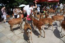 养鬼吃人5：地狱