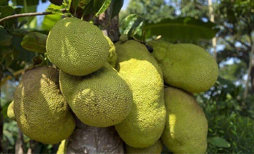 再见我们的幼儿园