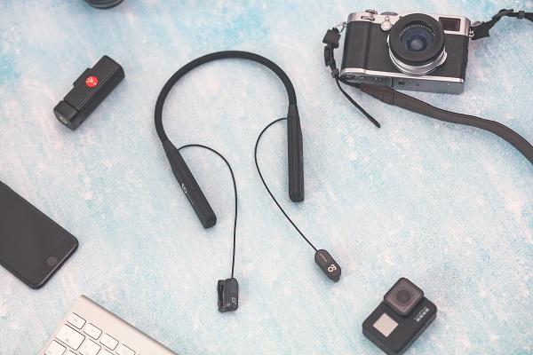 再见了,橡果兄弟!